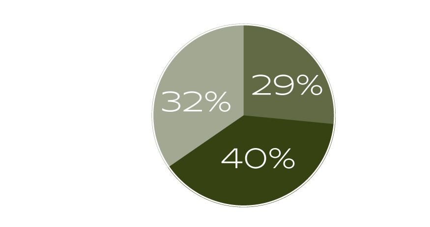 portfolio-details-fig